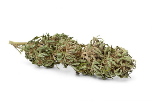 O que é o Cannabinol? (CBN)