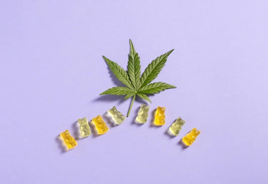 Gomas de CBD para as dores