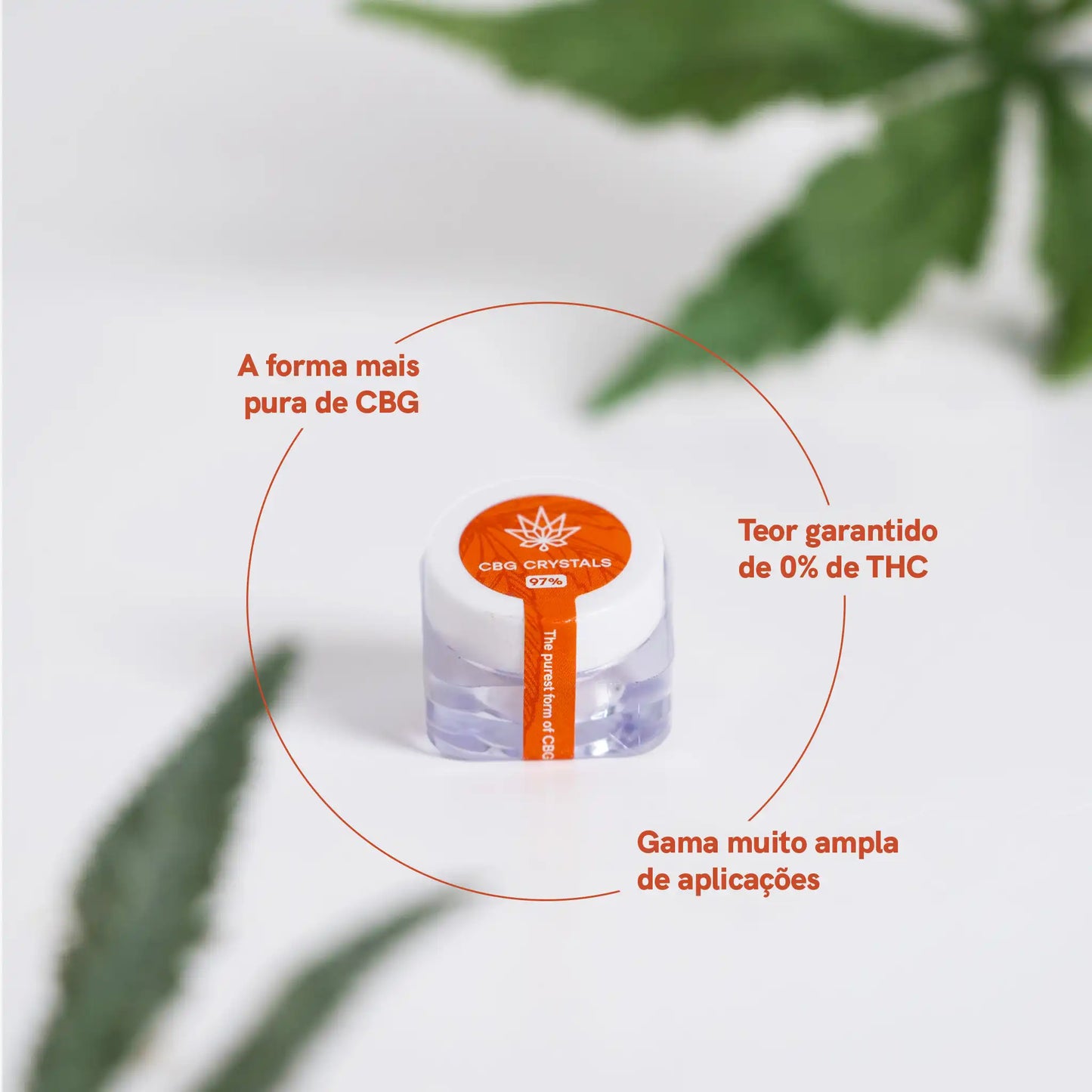 a mão de uma mulher segura o produto aberto
