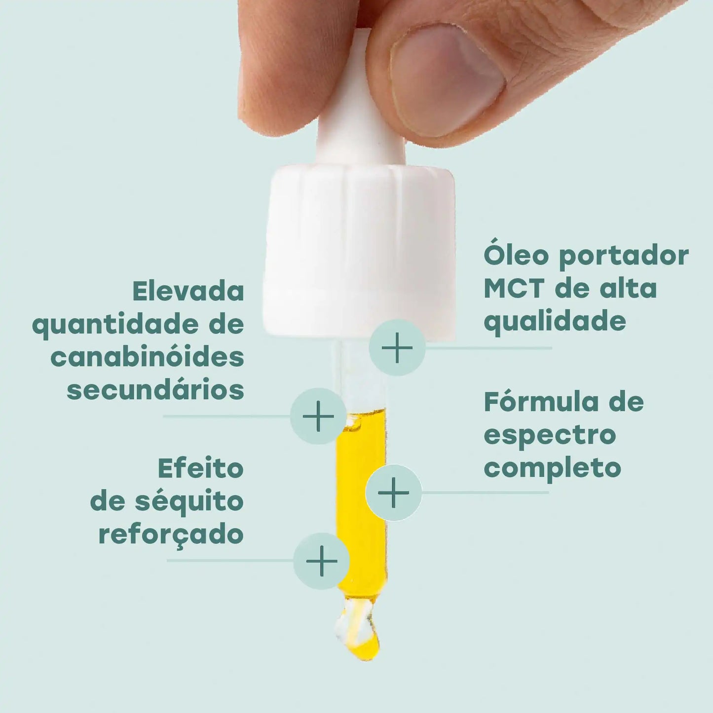 Ingredientes do óleo CBD