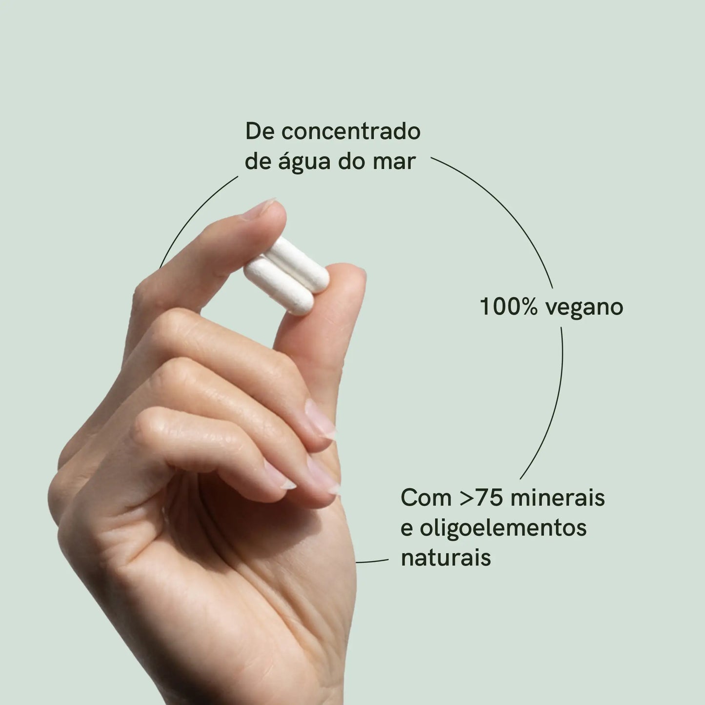 Cápsulas de magnésio