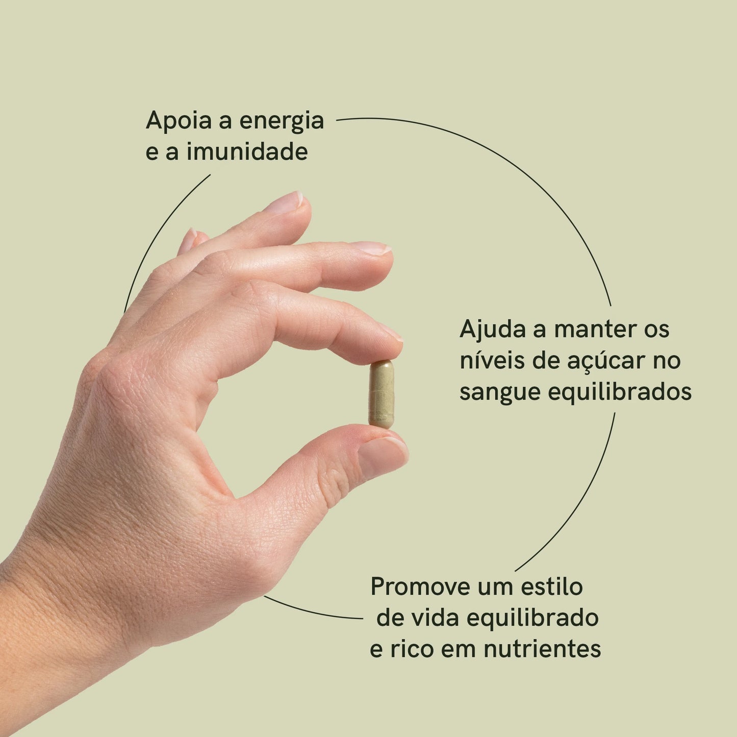 Cápsulas de Moringa em Pó
