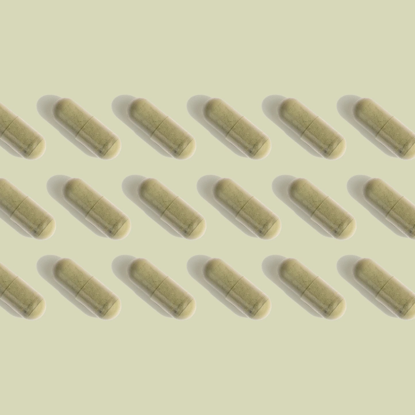 Cápsulas de Moringa em Pó