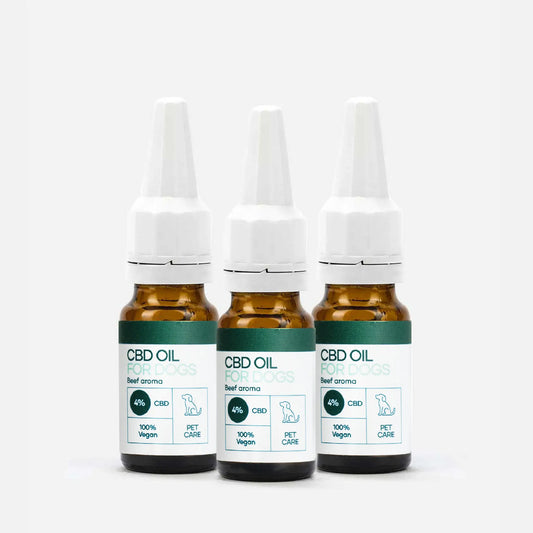 Três frascos de óleo de CBD para cães com conta-gotas, aroma de carne, rótulos indicam 4% CBD e 100% vegan