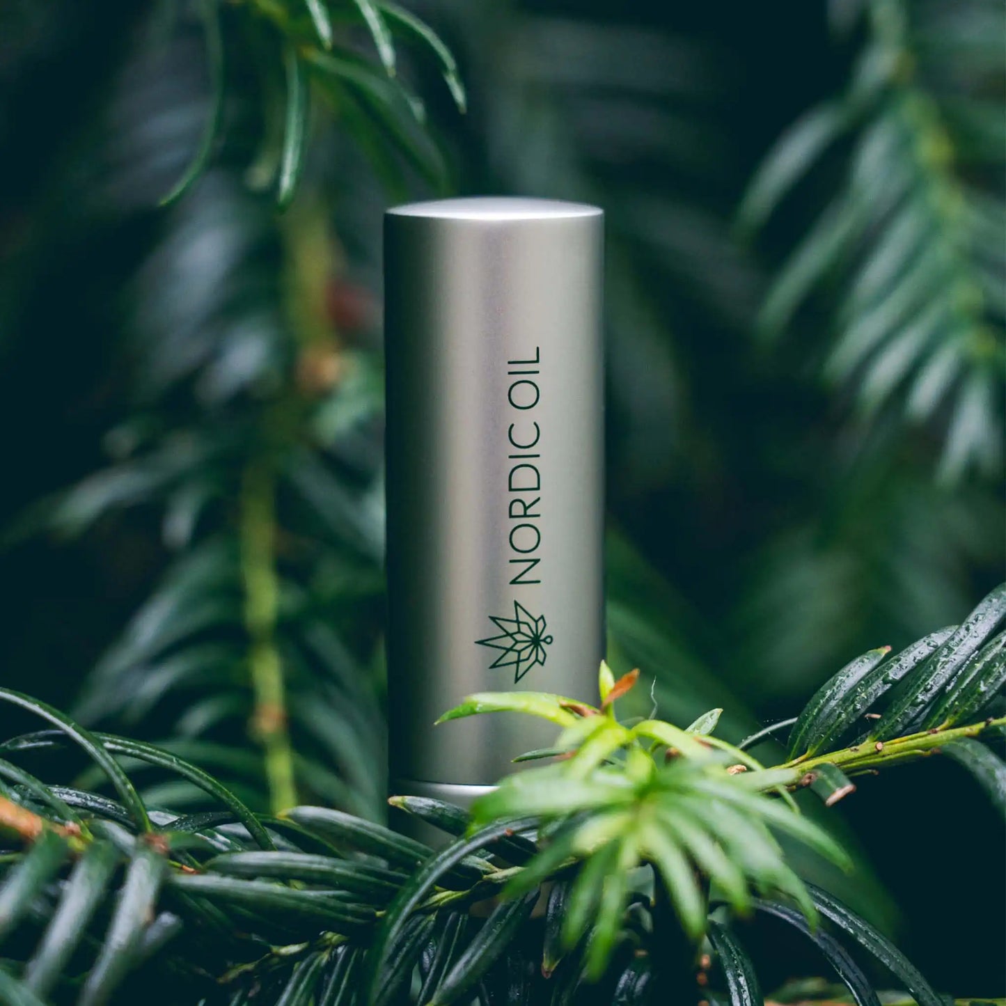 Bálsamo labial CBD em ambiente natural