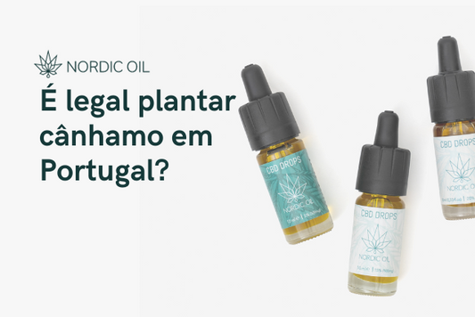 É legal plantar cânhamo em Portugal?