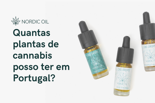 Quantas plantas de cannabis posso ter em Portugal?