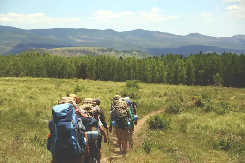 CBD e Caminhada/Trekking: Benefícios do Canabidiol para a Saúde e Desempenho