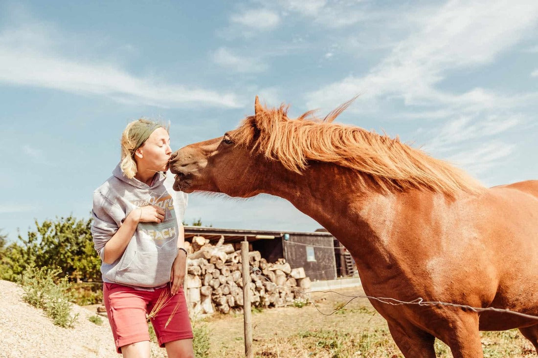 Mulher beijadora de cavalos