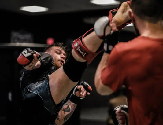 CBD e Artes Marciais Mistas (MMA): Benefícios, Recuperação e Desempenho