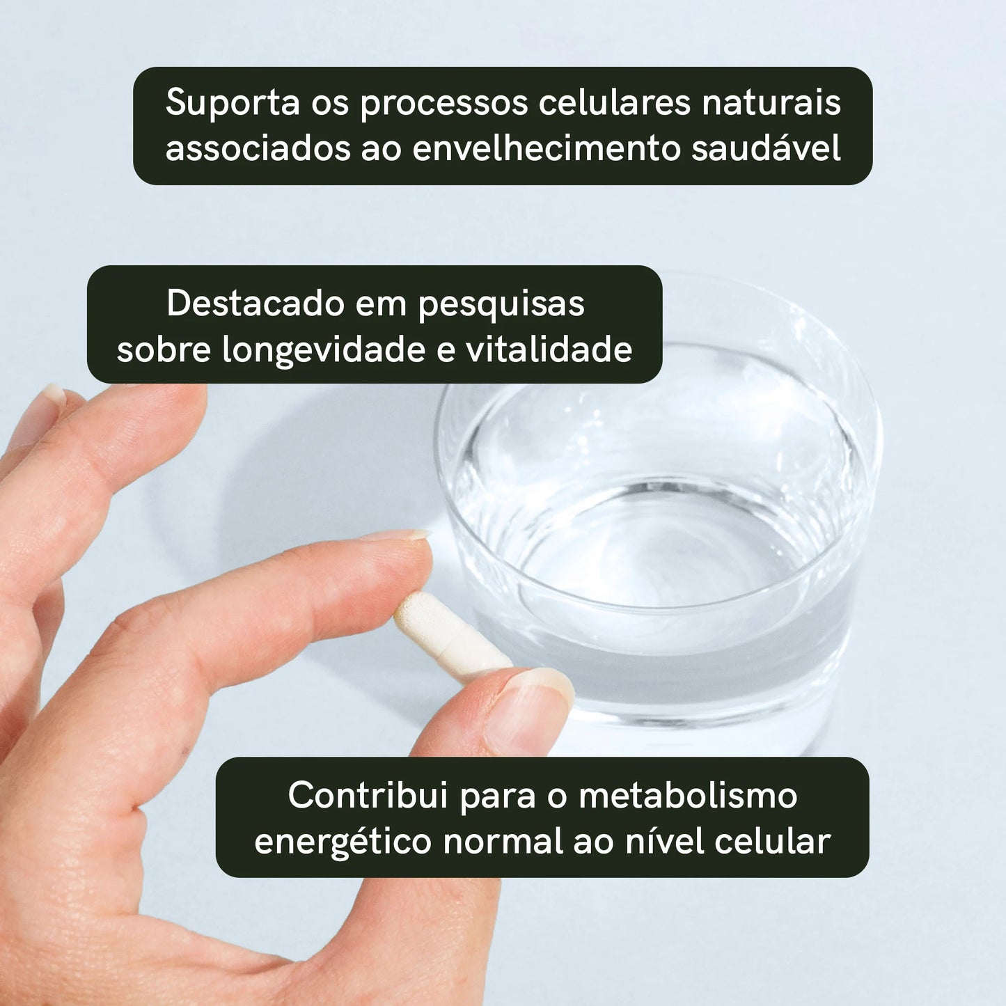 Cápsulas de Ribosídeo de Nicotinamida (NR)