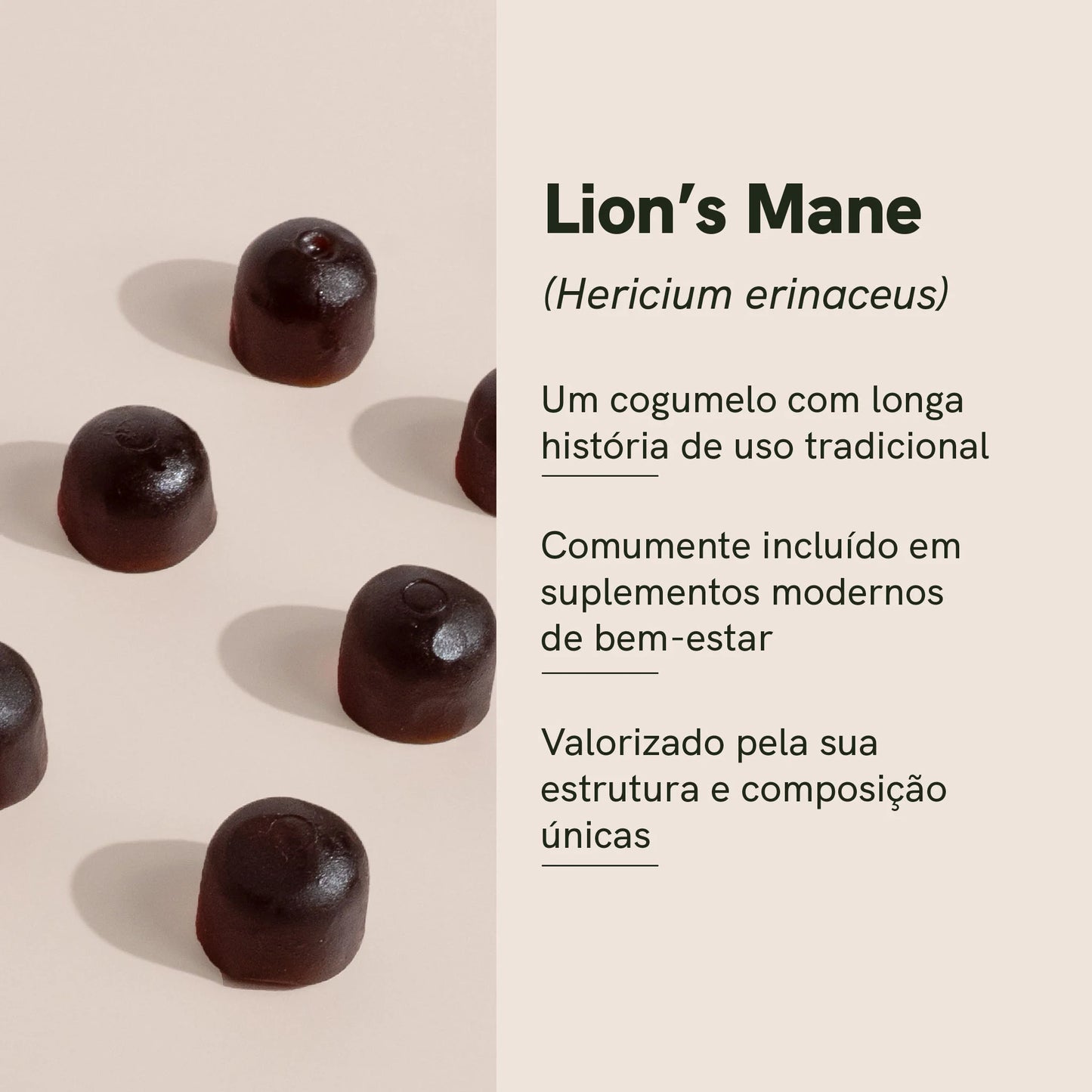 Gummies de Cogumelo Lion's mane