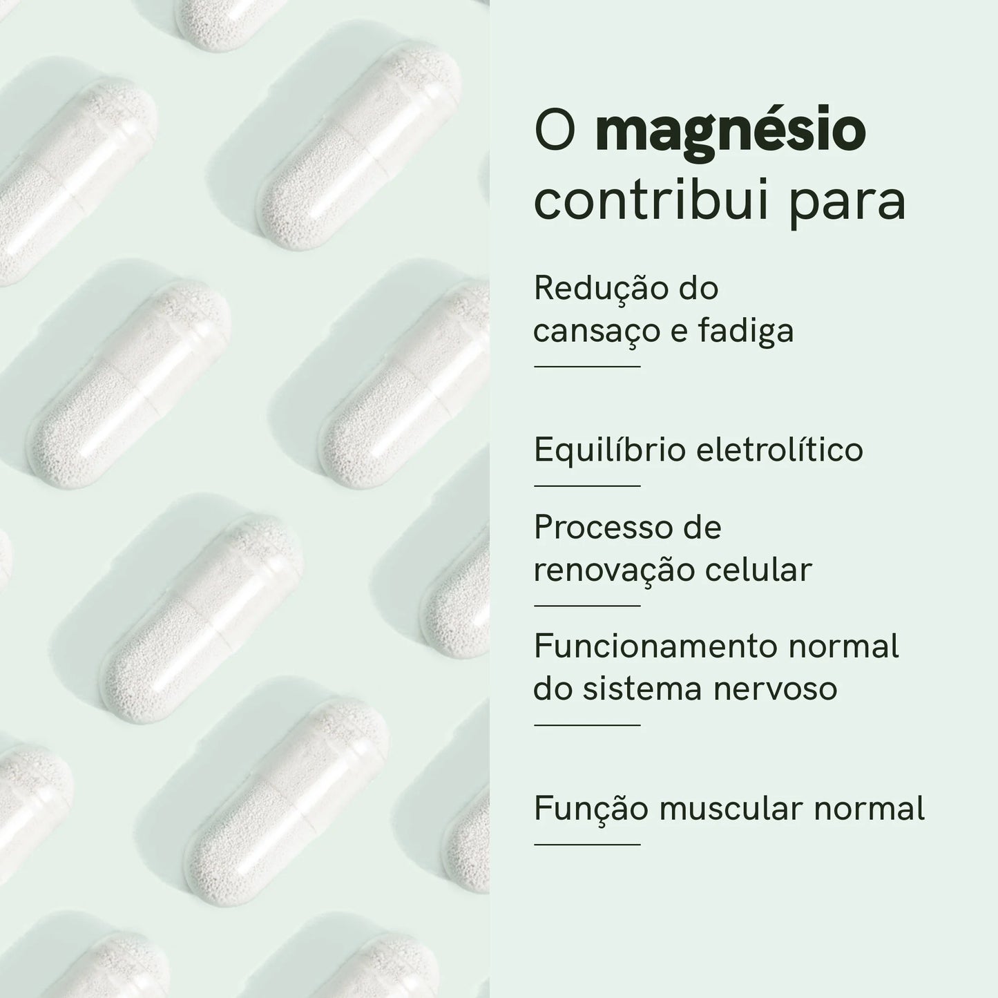 Complexo de Magnésio