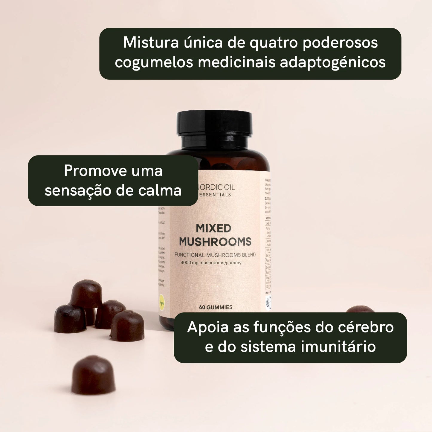 Cogumelos medicinais