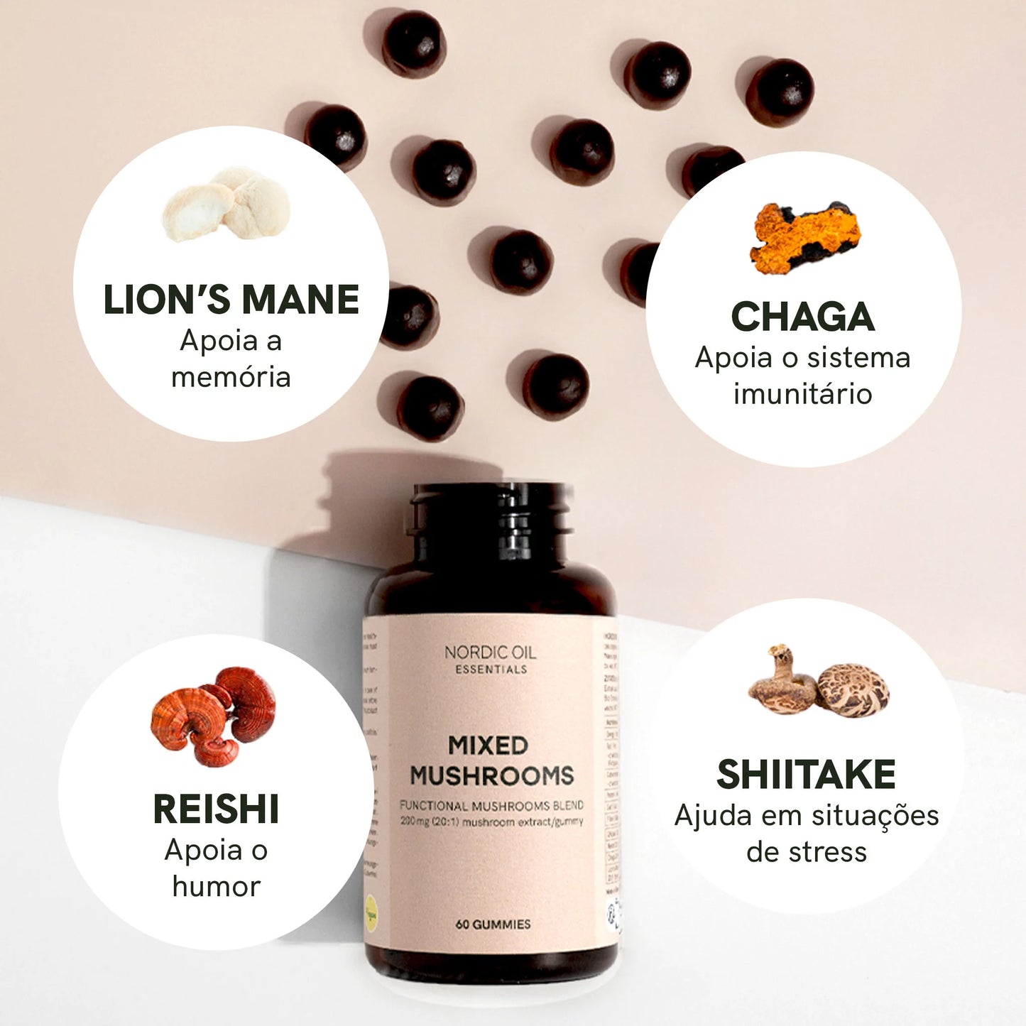 Cogumelos medicinais