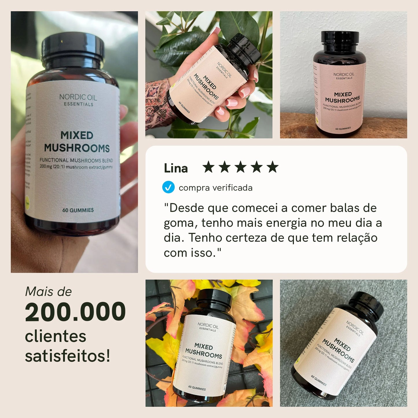 Cogumelos medicinais