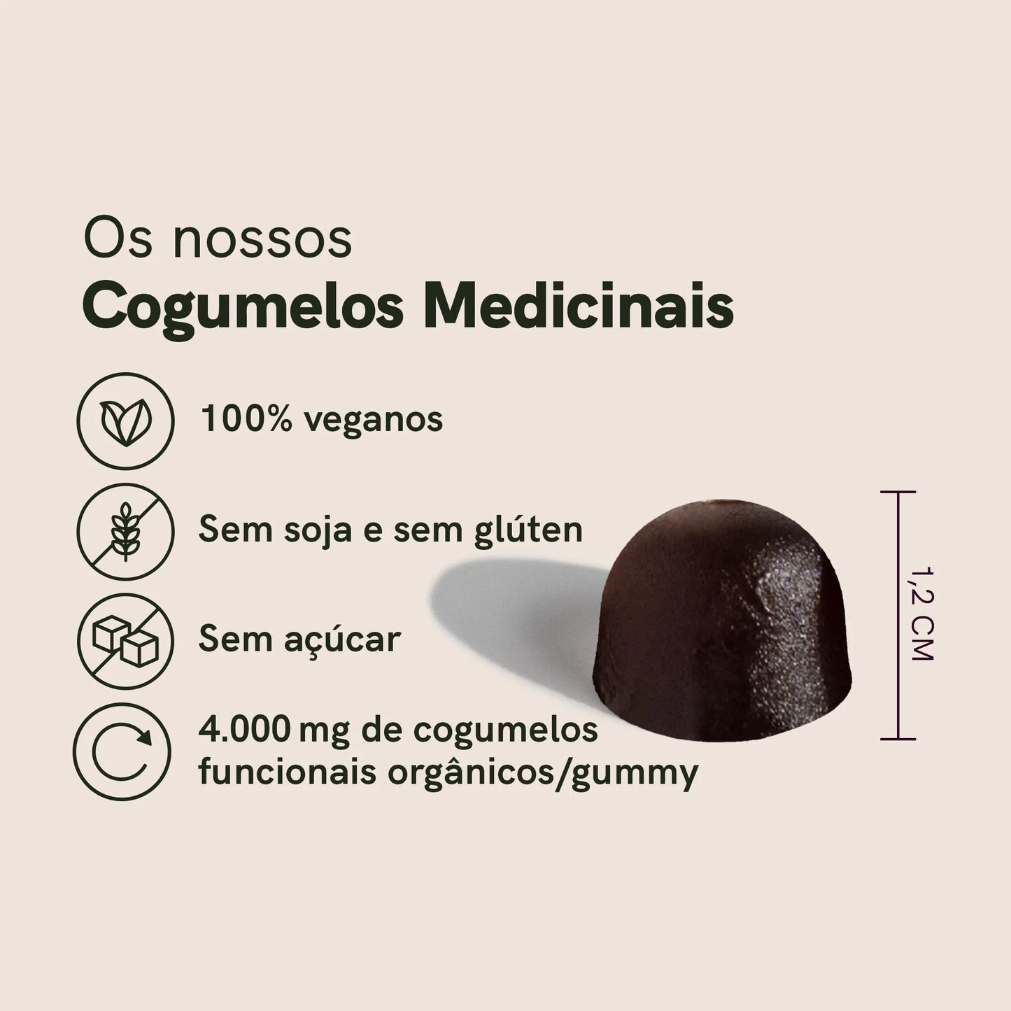 Cogumelos medicinais