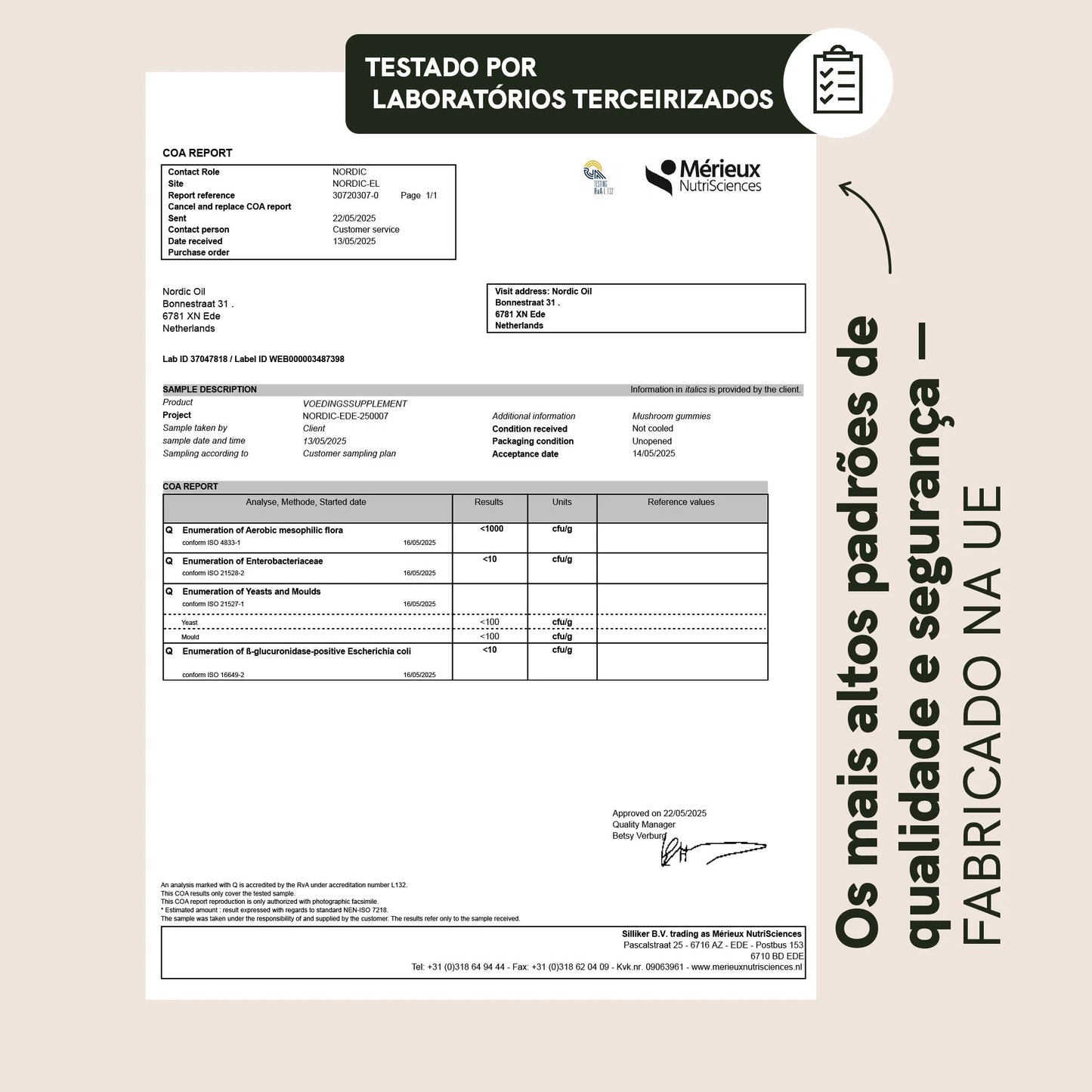 Cogumelos medicinais