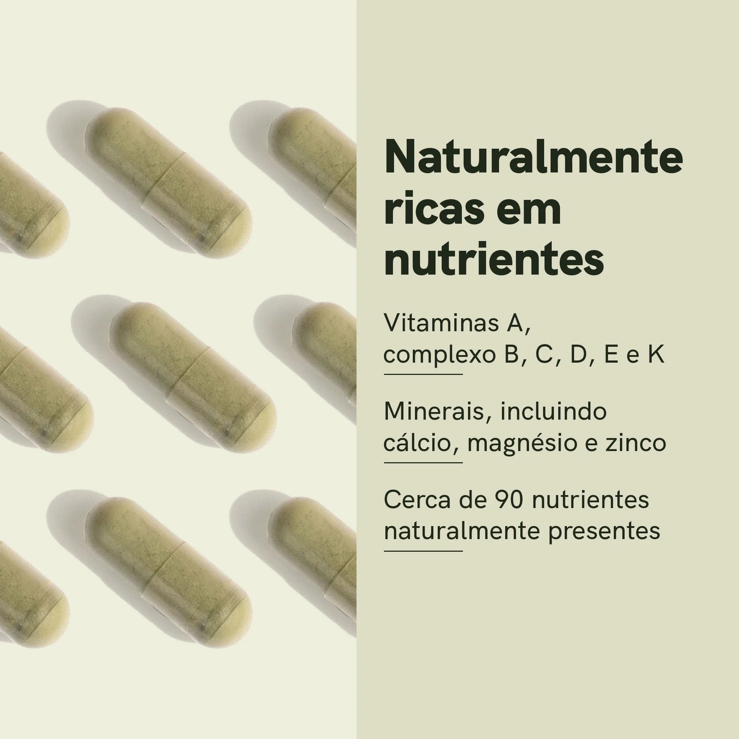 Cápsulas de Moringa em Pó