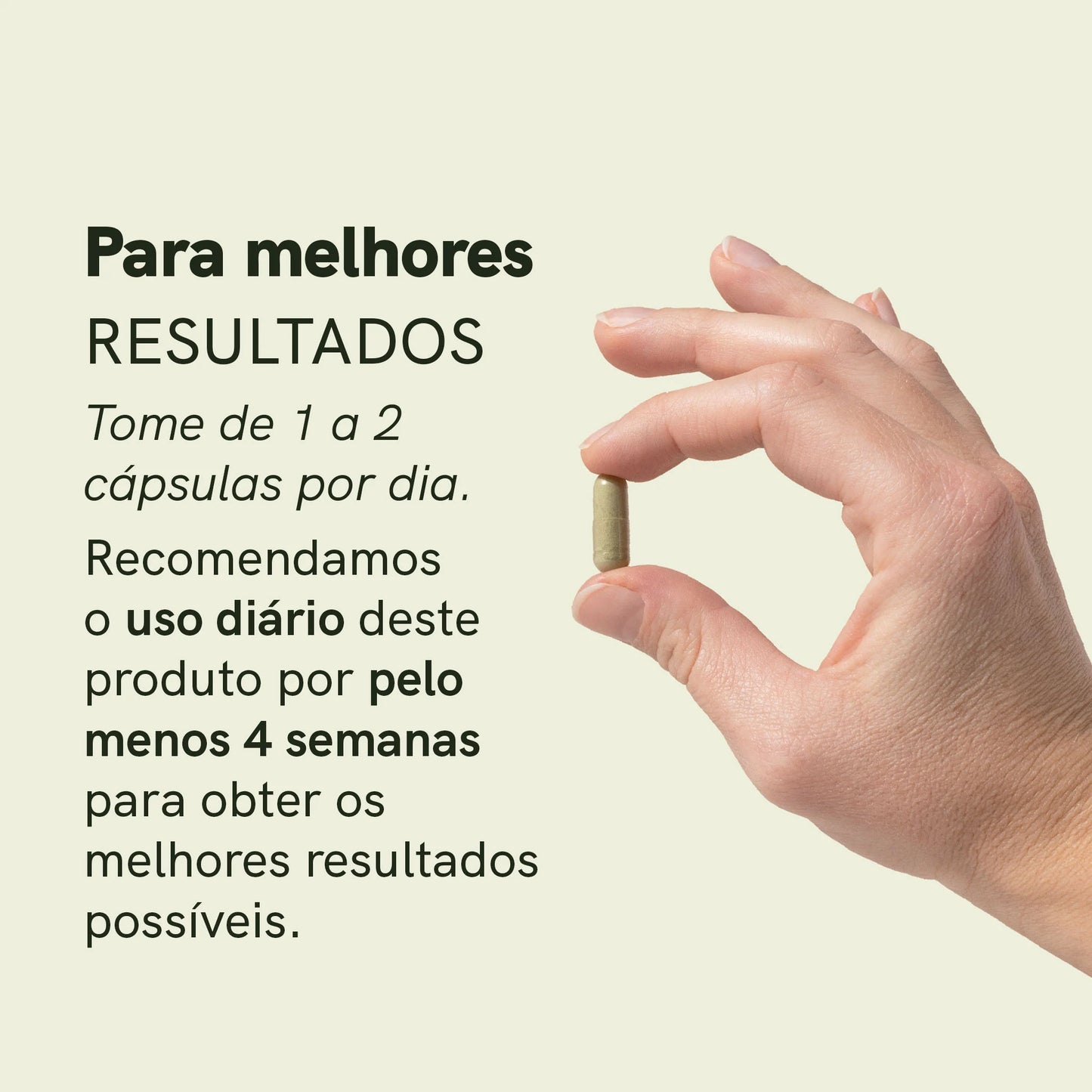 Cápsulas de Moringa em Pó