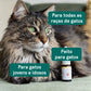 Óleo de CBD para Gatos - peixe (2,5%)