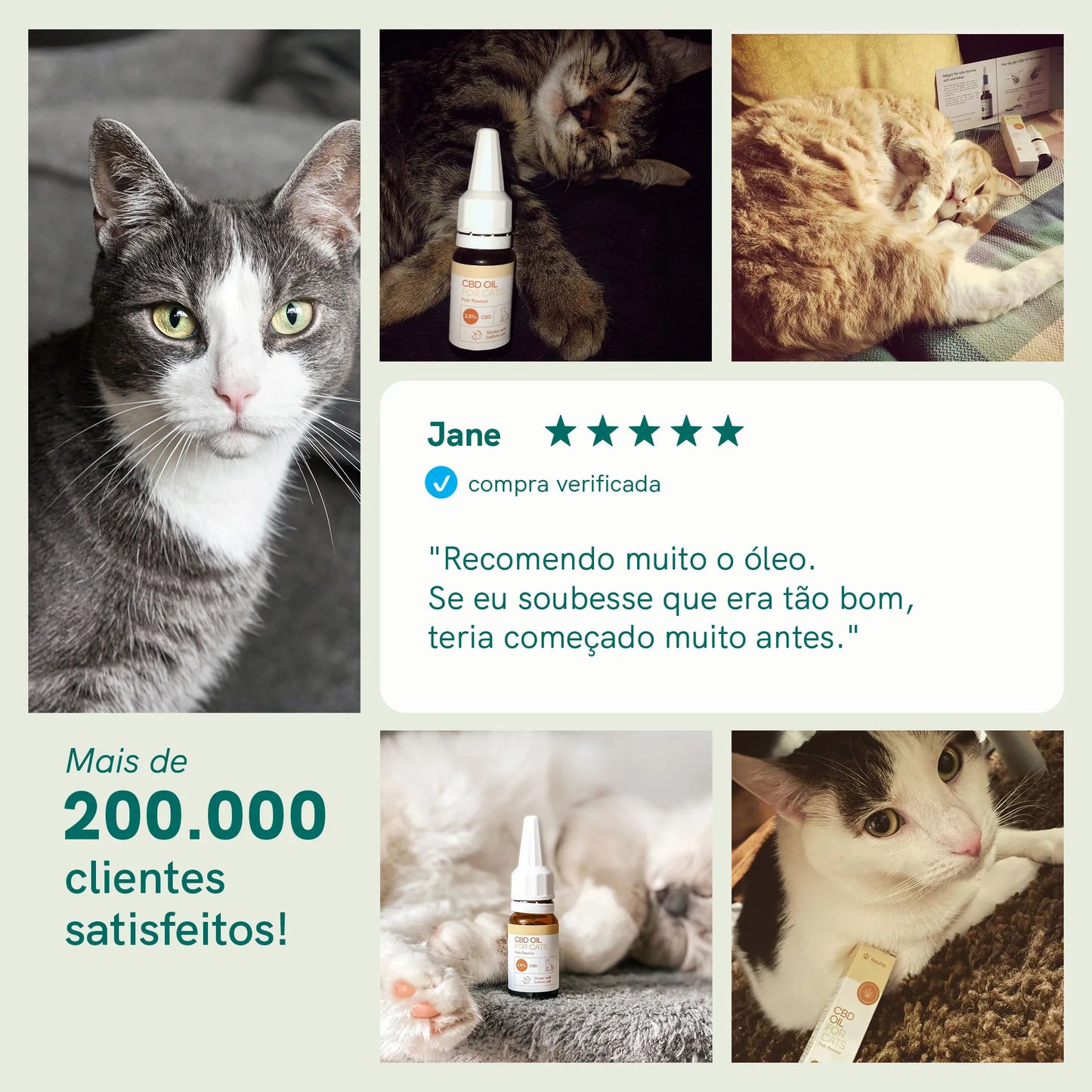 Óleo de CBD para Gatos - peixe (2,5%)