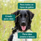 3POR2 Óleo de CBD para Cachorros - Carne (4%)