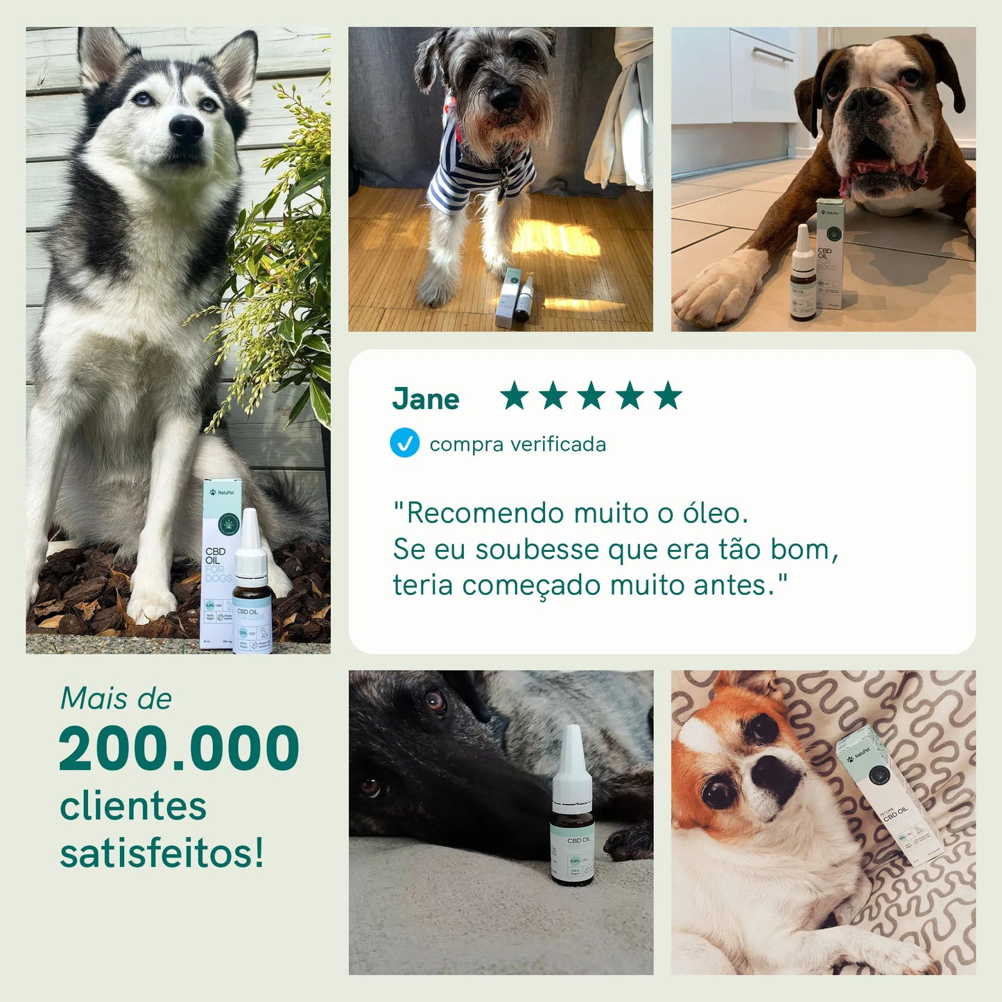 3POR2 Óleo de CBD para Cachorros - Carne (4%)