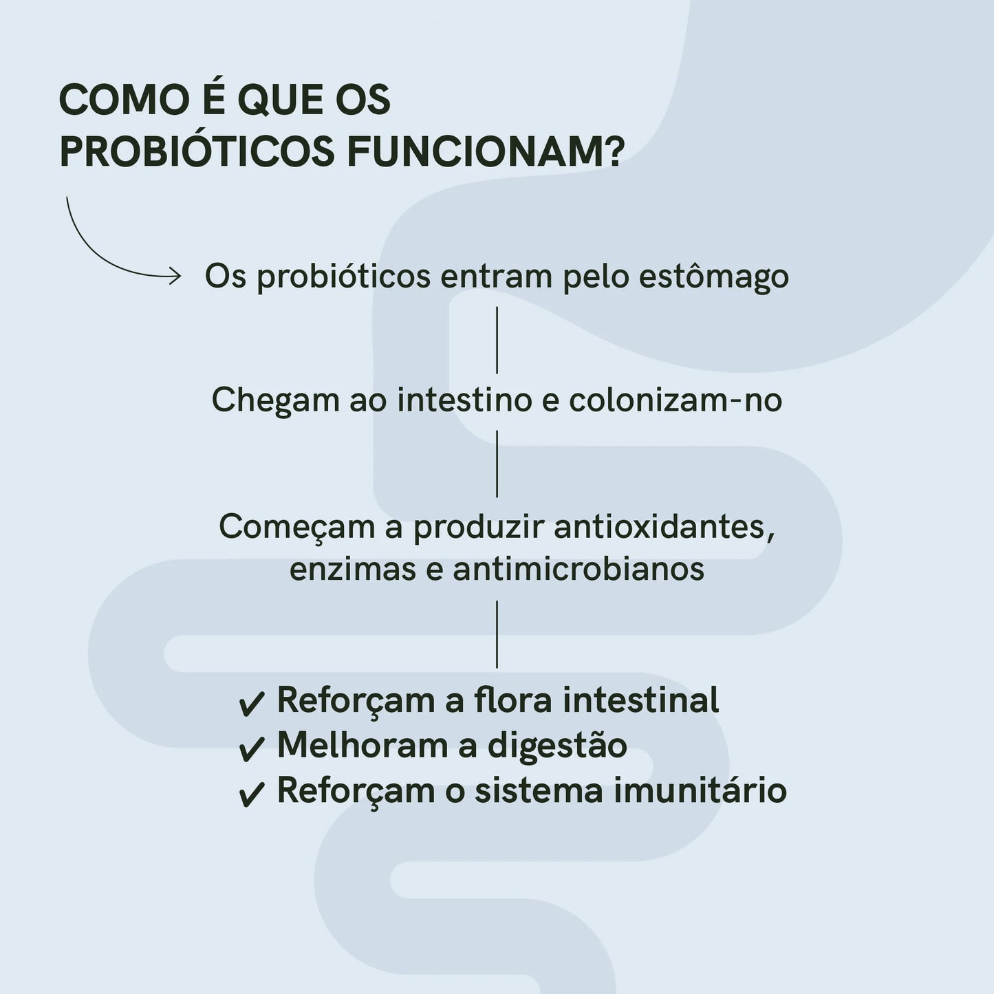 3POR2: Probióticos