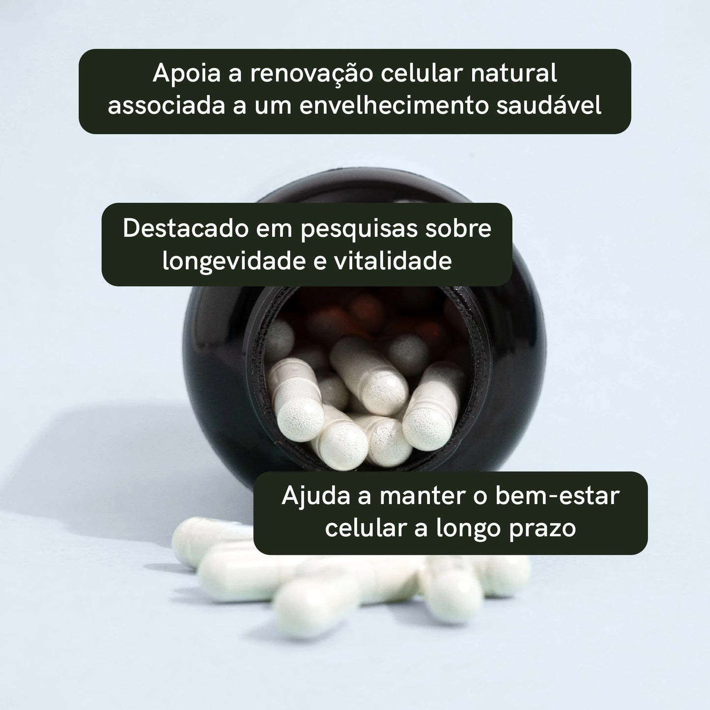 Cápsulas de Espermidina