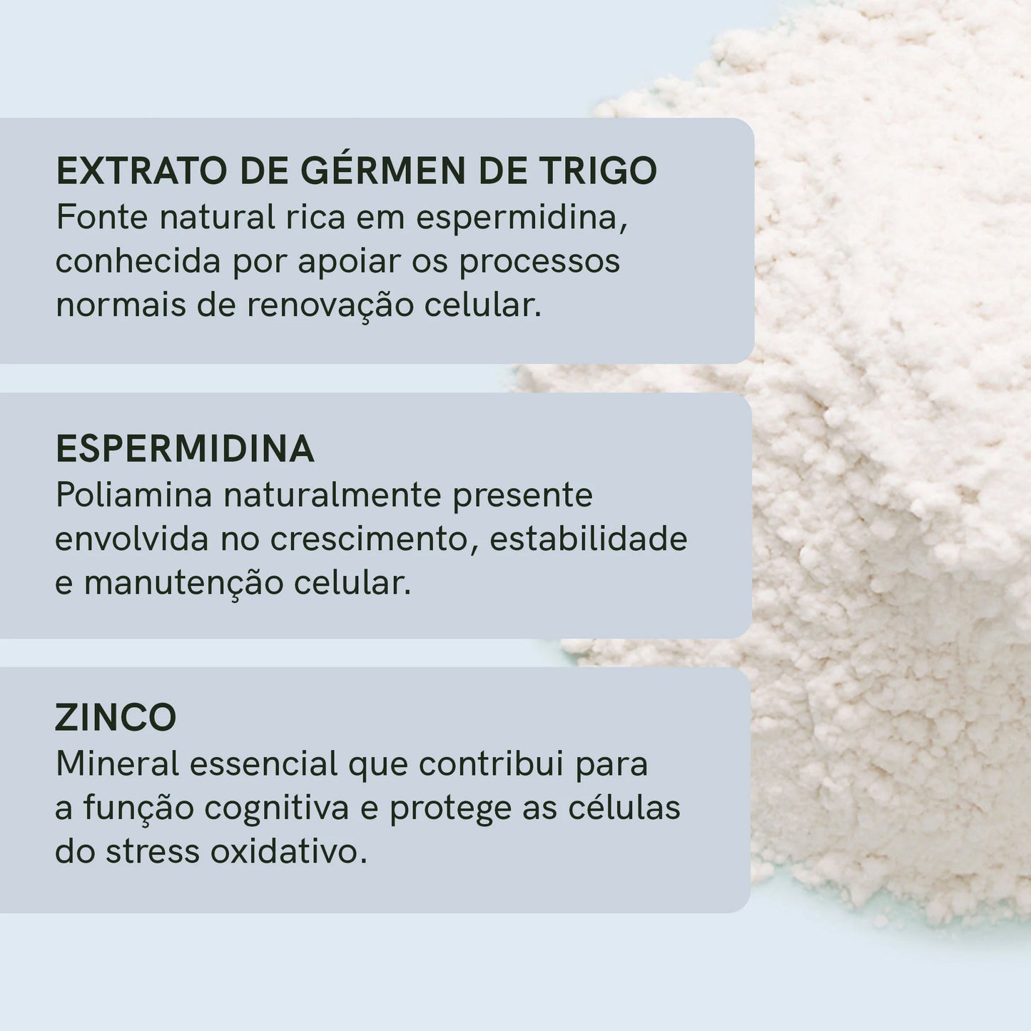 Cápsulas de Espermidina