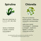 Pó de Spirulina e Chlorella