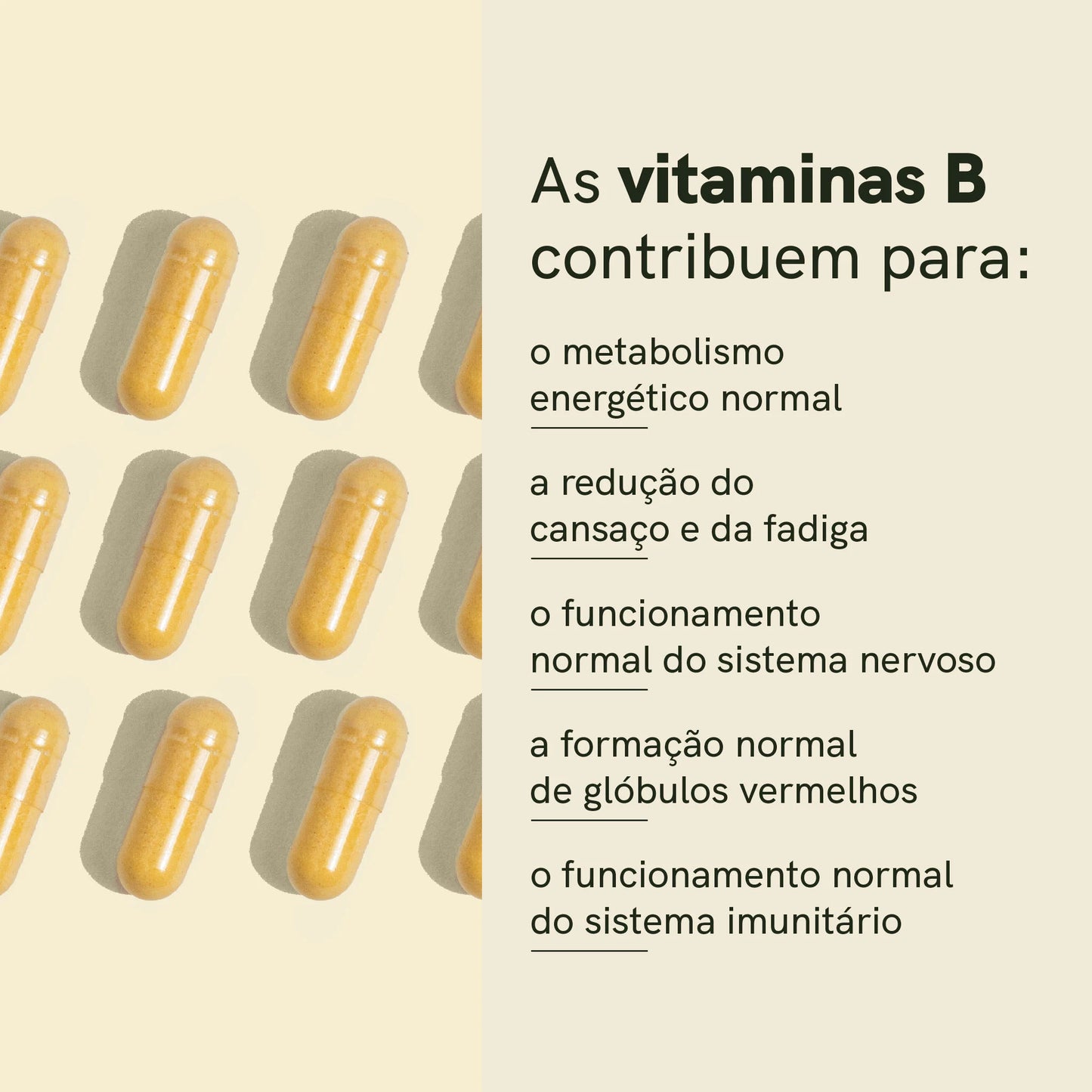 Complexo de Vitamina B